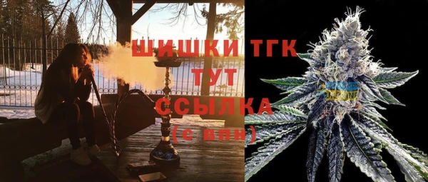 тгк Абдулино