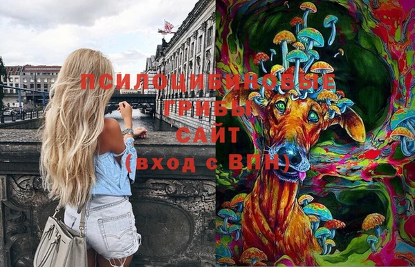 синтетический гашиш Михайловск