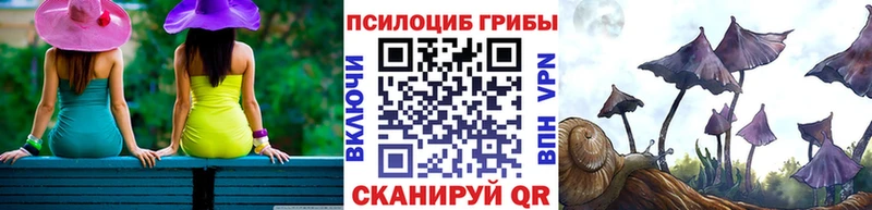 Галлюциногенные грибы MAGIC MUSHROOMS  Тетюши 